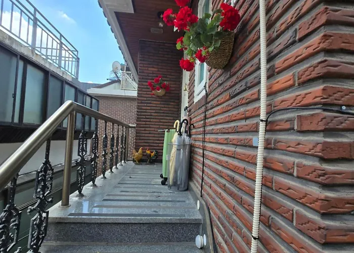 Sophie House Foreigners Women Only * Seoel